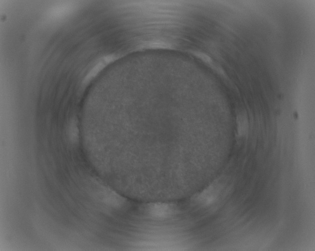 X0000077371266200611101655