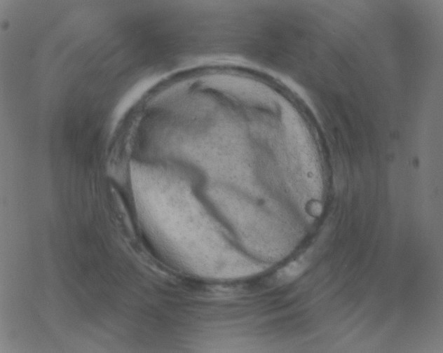 X0000077371271200611101655