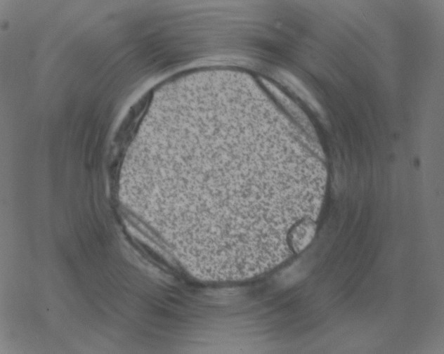 X0000077371276200611101655