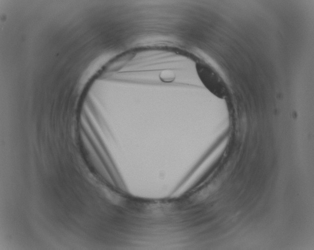 X0000077371277200611101655