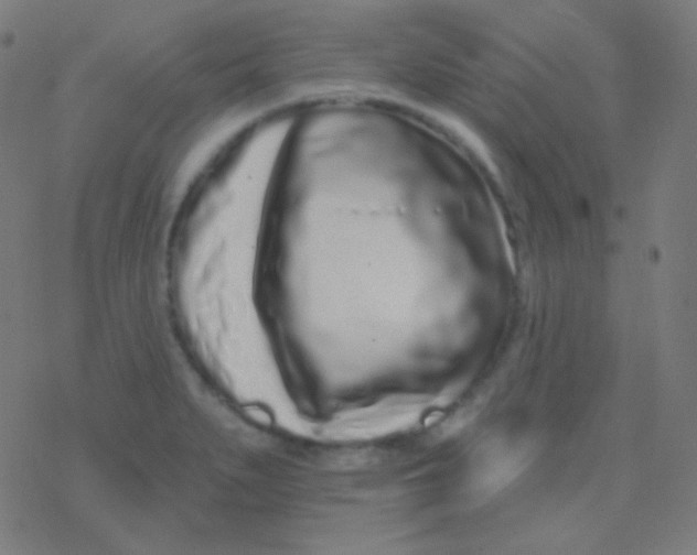 X0000077371279200611101655