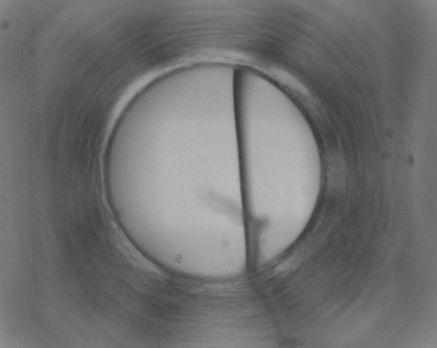 X0000077371280200611101655