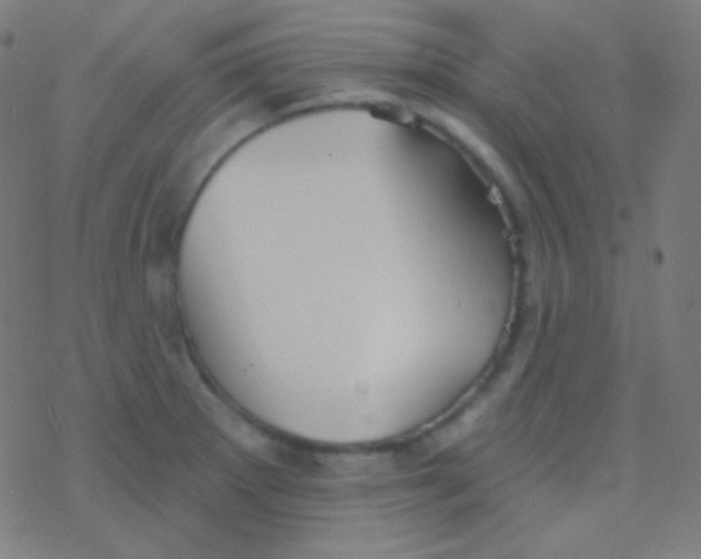 X0000077371281200611101655