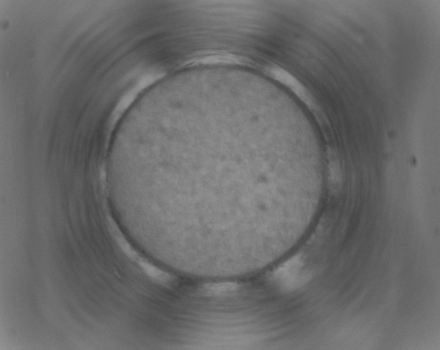 X0000077371282200611101655