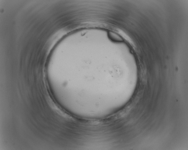 X0000077371283200611101655