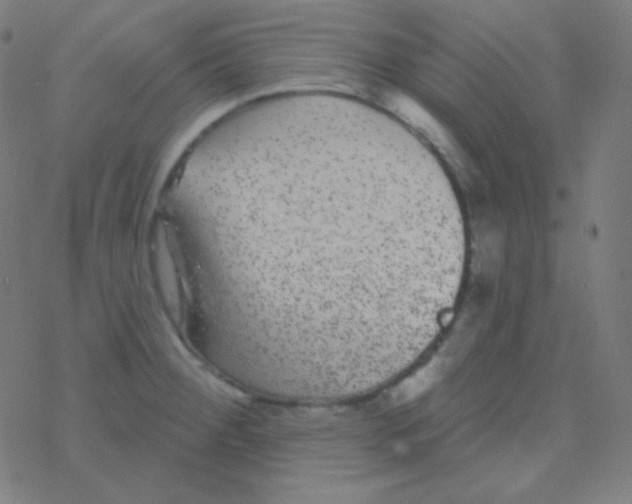 X0000077371284200611101655