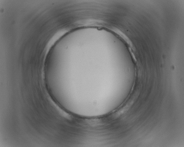 X0000077371285200611101655