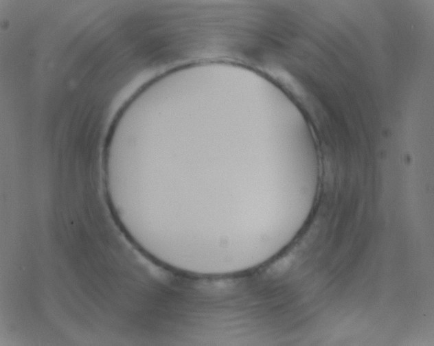 X0000077371286200611101655