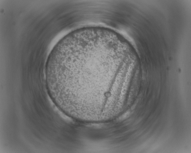 X0000077371287200611101655