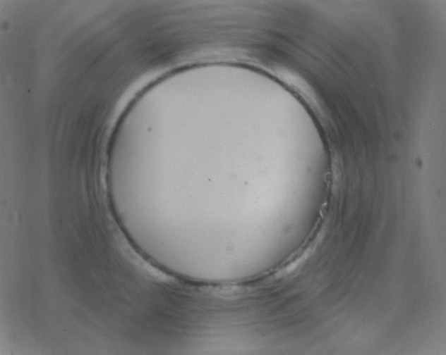 X0000077371288200611101655