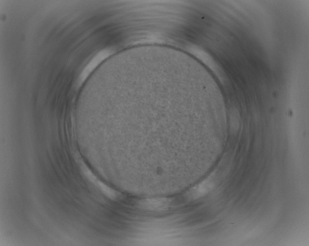 X0000077371290200611101655