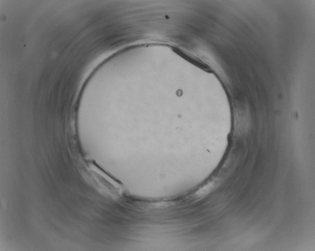 X0000077371292200611101655