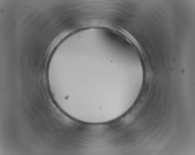 X0000077371293200611101655