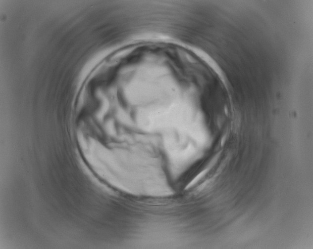 X0000077371295200611101655