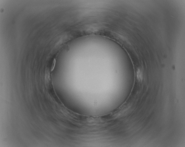 X0000077371299200611101654