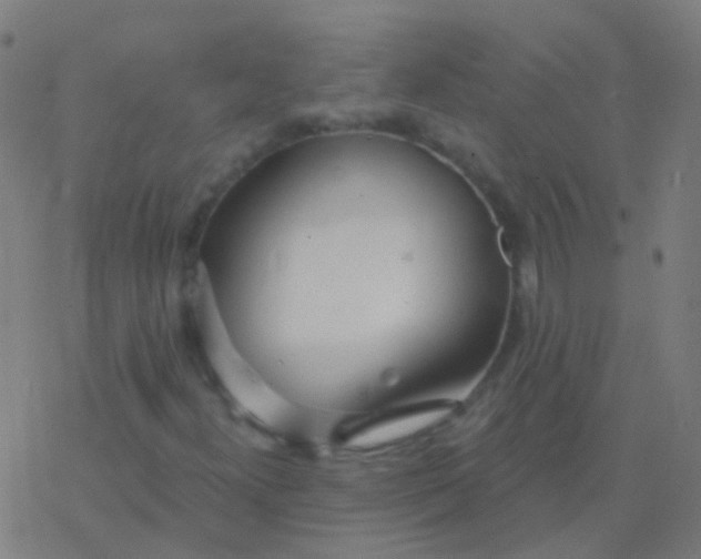 X0000077371300200611101654