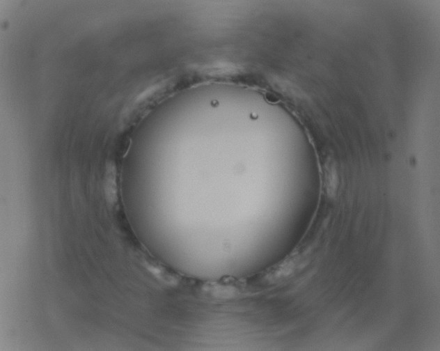 X0000077371301200611101654