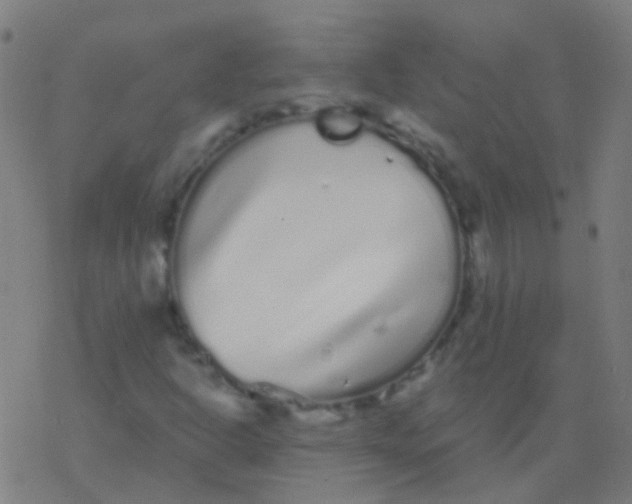 X0000077371302200611101654