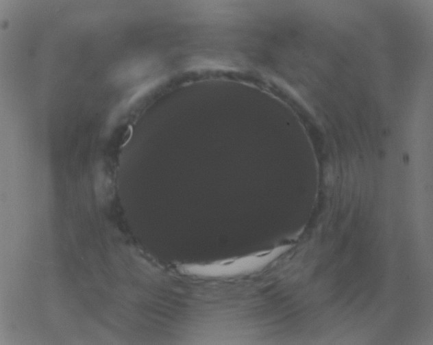 X0000077371303200611101654