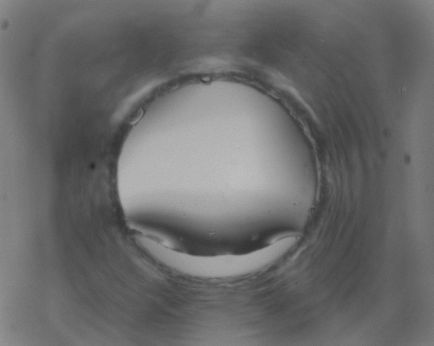 X0000077371304200611101654