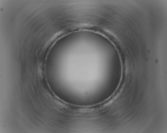 X0000077371305200611101654