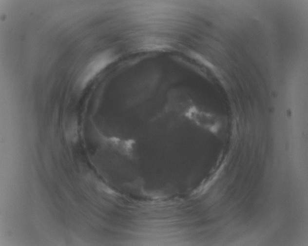 X0000077371306200611101654