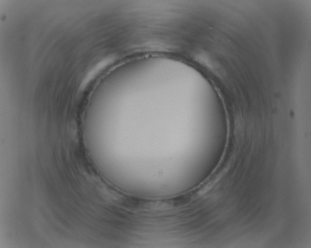 X0000077371307200611101654