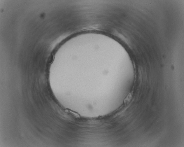 X0000077371308200611101654