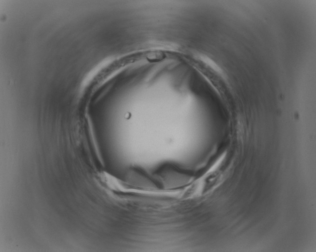 X0000077371310200611101654