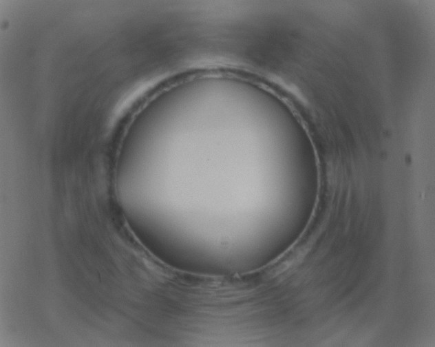 X0000077371311200611101654