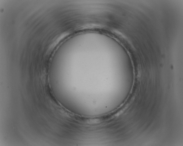 X0000077371313200611101654