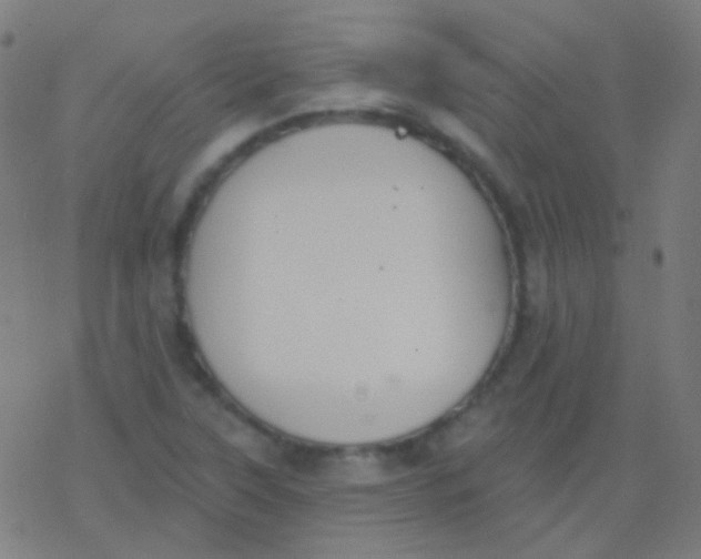 X0000077371315200611101654