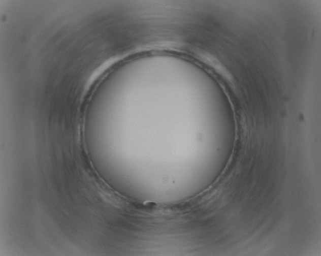 X0000077371316200611101654