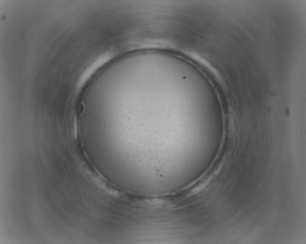 X0000077371317200611101654