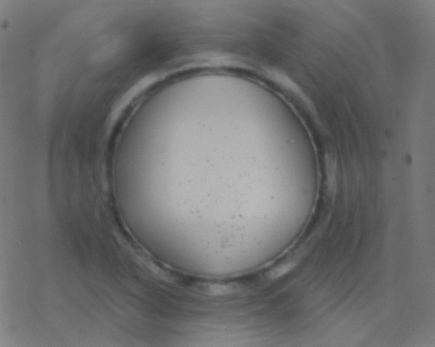 X0000077371318200611101654