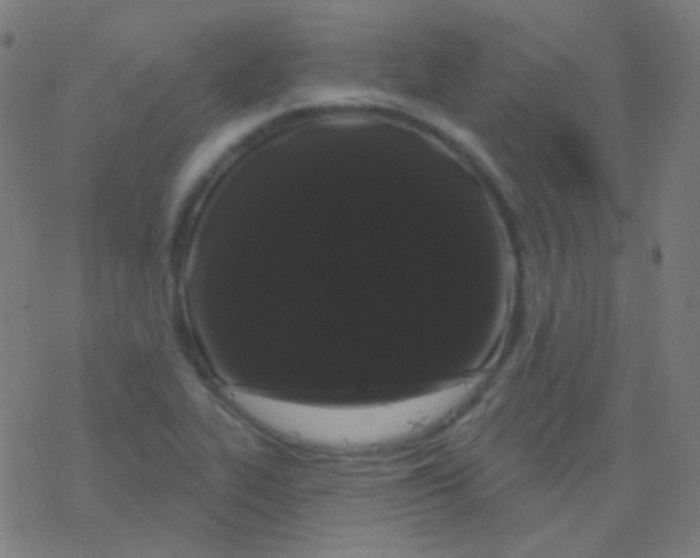 X0000077371319200611101654