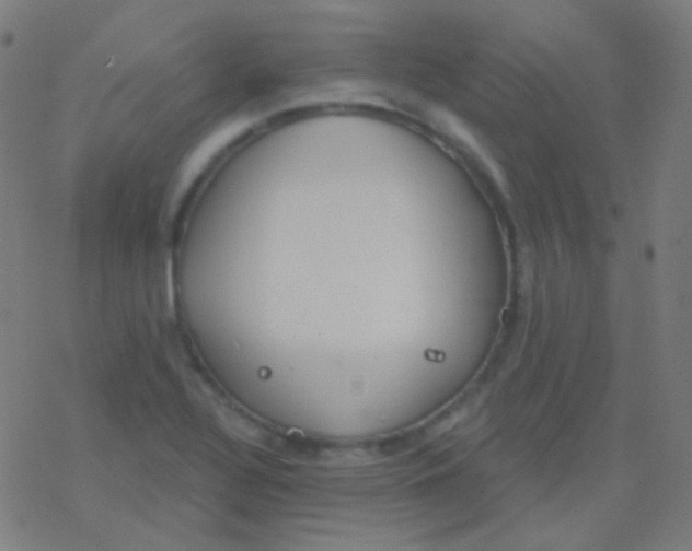 X0000077371320200611101654