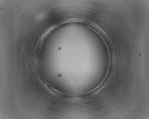 X0000077371321200611101654