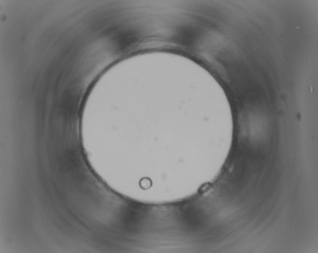 X0000077371322200611101654