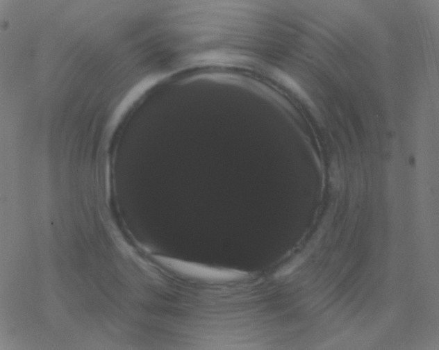 X0000077371323200611101654