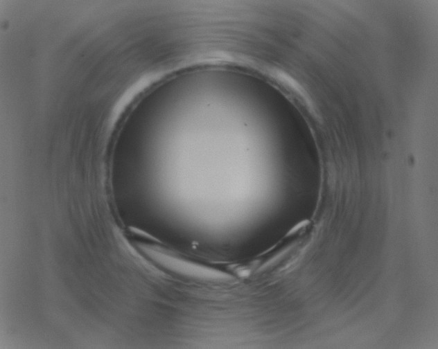 X0000077371326200611101654