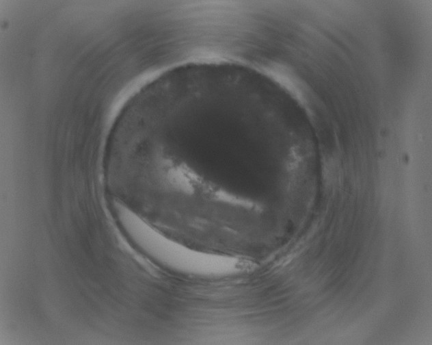 X0000077371327200611101654