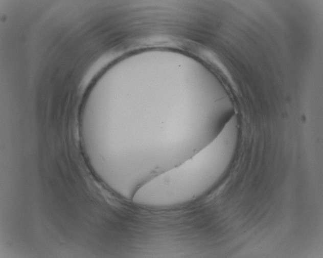 X0000077371328200611101654