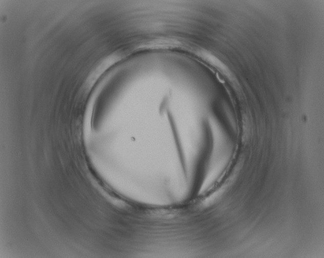 X0000077371329200611101654