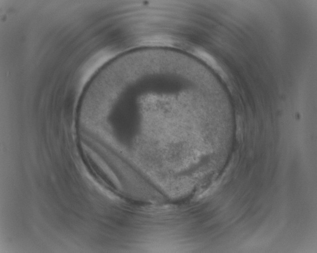 X0000077371331200611101654