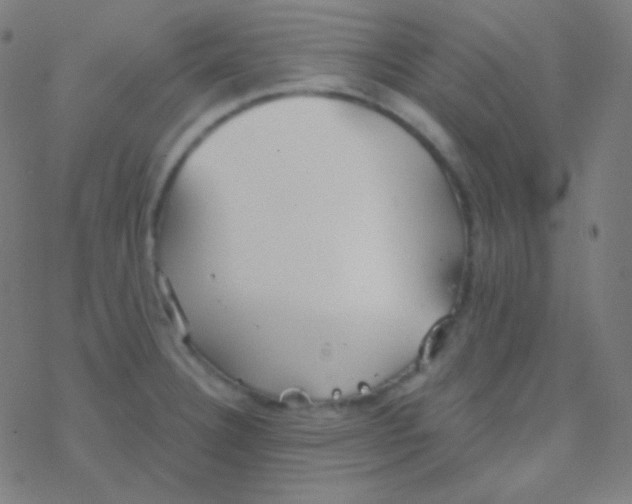 X0000077371332200611101654