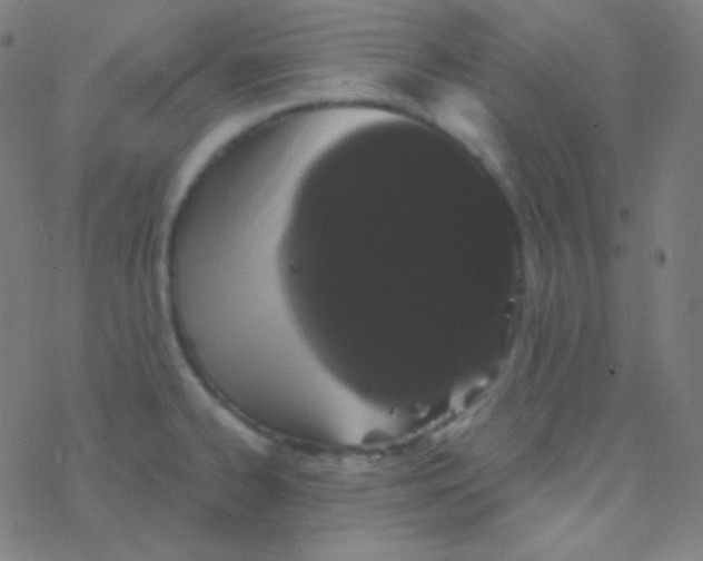 X0000077371334200611101654