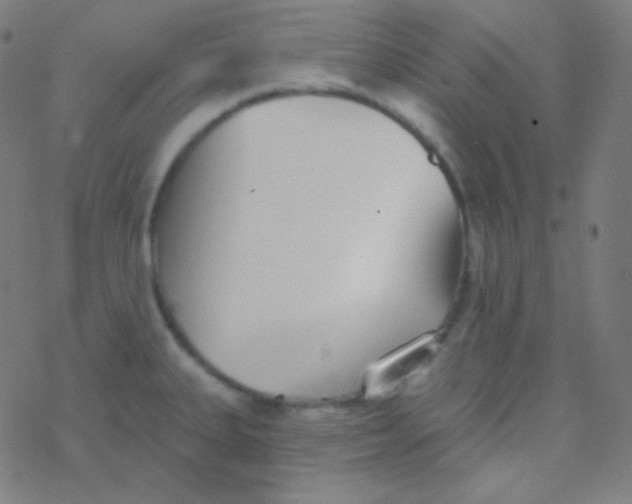 X0000077371335200611101654