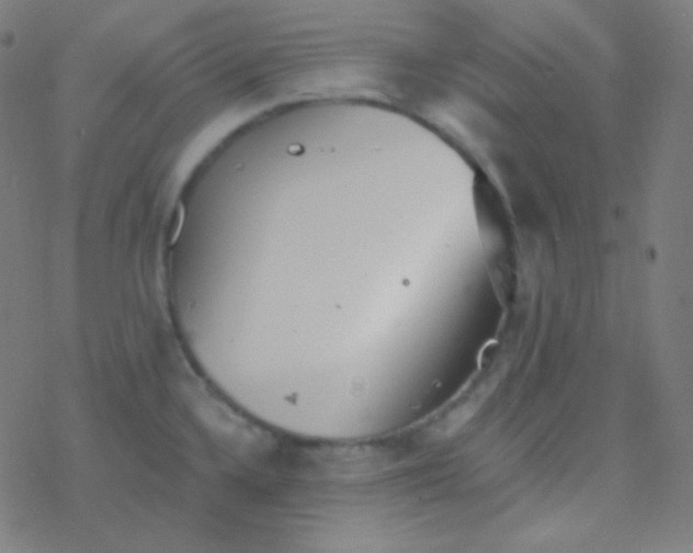 X0000077371336200611101654