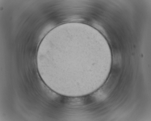 X0000077371338200611101654